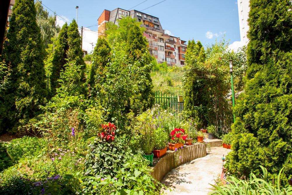Lavender House Apartment Сараево Стая снимка